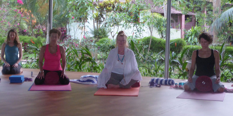 homepage_yoga-workshops-800×400